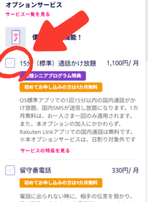 オプションサービス選択画面の画像